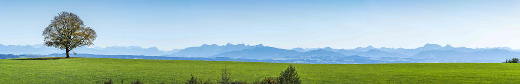 9001046 Allgäu Panorama lang