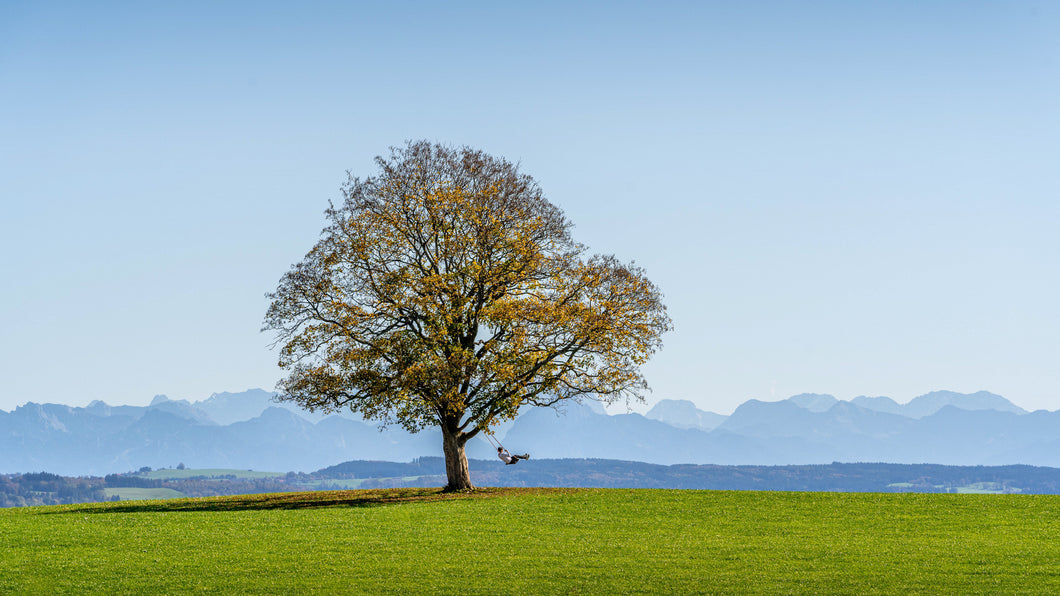9001002 Allgäu Panorama