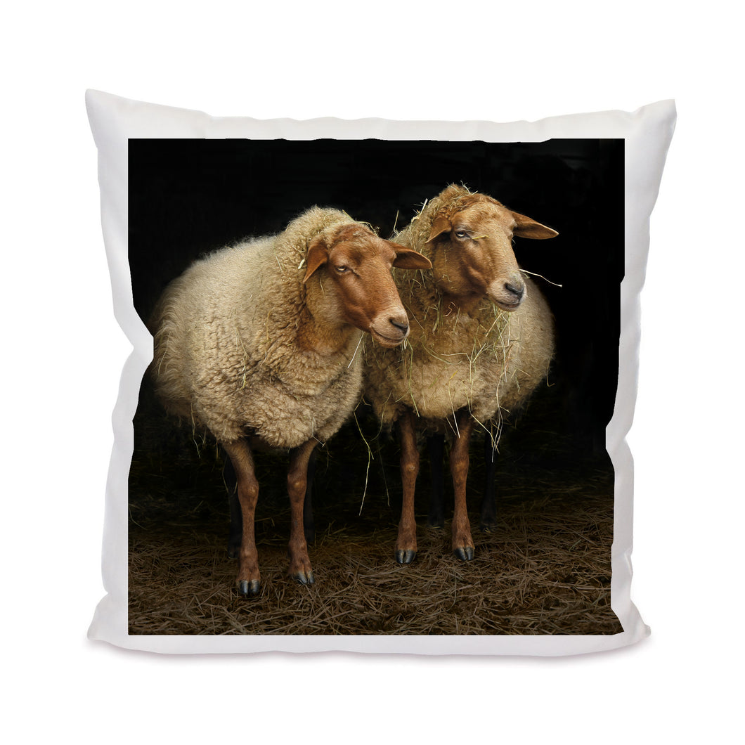 Kuschelkissen MT110001