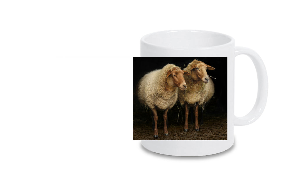 Tasse MT110001