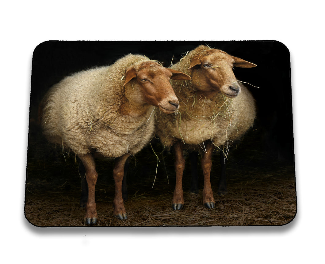 Mousepad MT110001