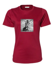 Lade das Bild in den Galerie-Viewer, Junge Kuh - Bio-Baumwolle Damen T-Shirt

