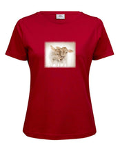 Lade das Bild in den Galerie-Viewer, Kälble Zwillingspaar - Bio-Baumwolle Damen T-Shirt
