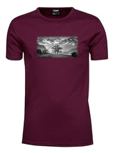 Lade das Bild in den Galerie-Viewer, Reichenbach - Bio-Baumwolle Herren T-Shirt
