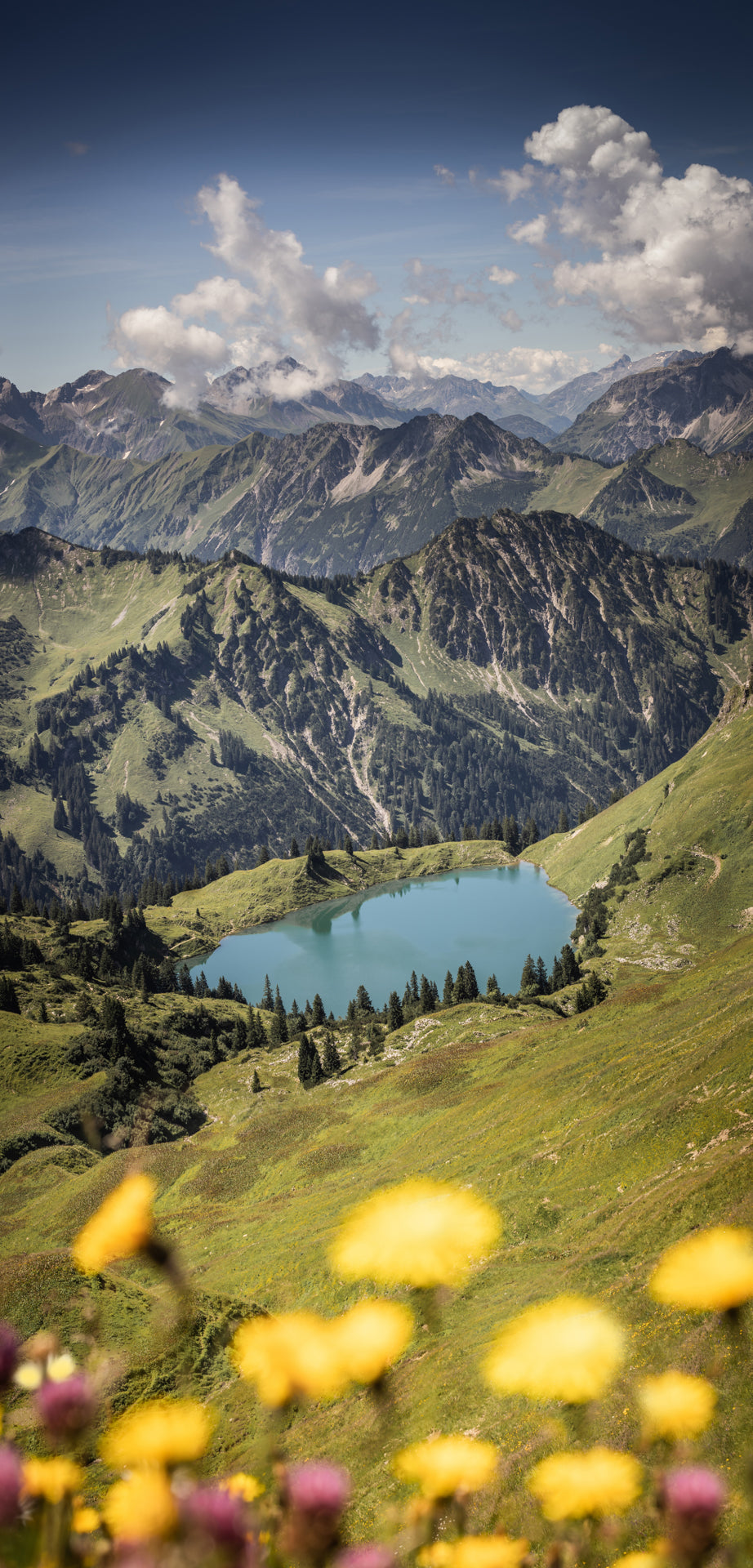 Seealpsee im Sommer II 1001211 Hochformat