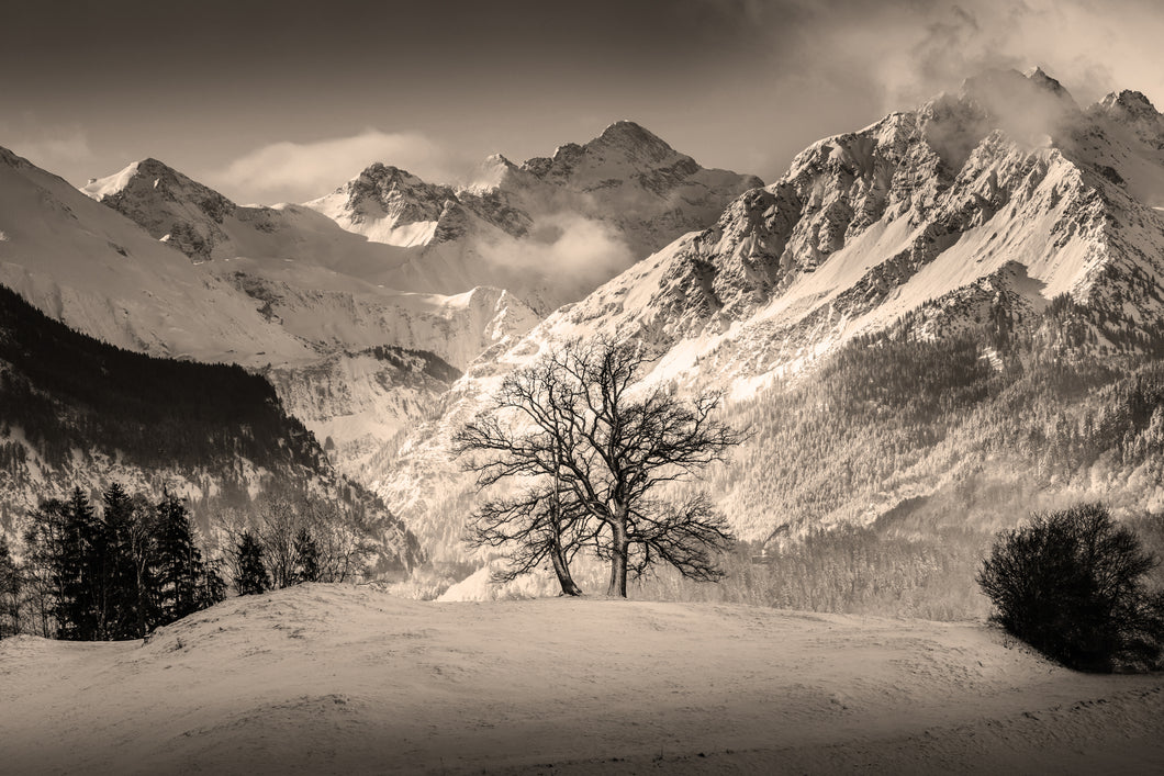 Reichenbach III sepia 1001222_sepia